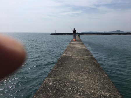 コアジ2匹、イワシ7匹