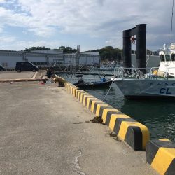 アジ25匹、イワシ14匹