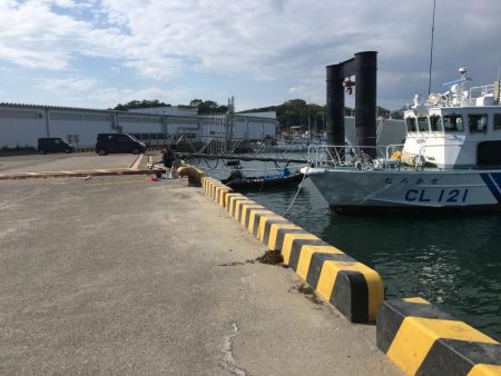 アジ25匹、イワシ14匹