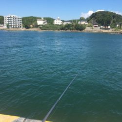 サビキで36㎝超ヒラメゲット！