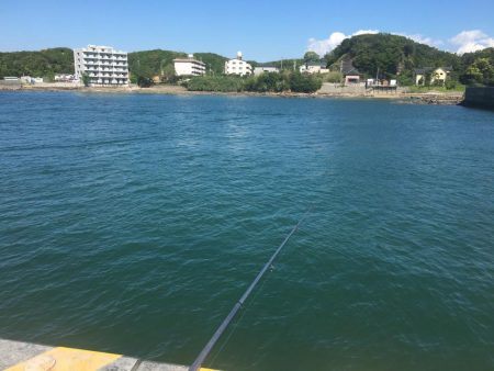サビキで36㎝超ヒラメゲット！