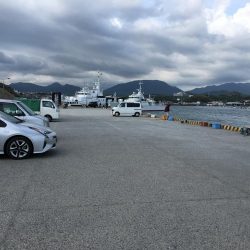 アジ良型24匹、セイゴ1匹