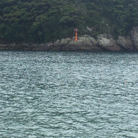 シマアジ小1匹、エソ1匹、コサバ13匹