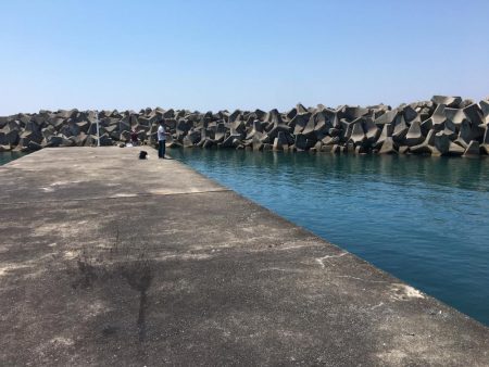 グレ、コサバ、ガシラなど