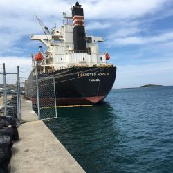 コサバ多数、豆アジ8匹、赤雑魚7匹、藤五郎イワシ1匹