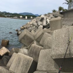 テトラの穴釣りに挑戦