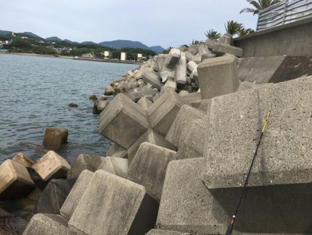 テトラの穴釣りに挑戦