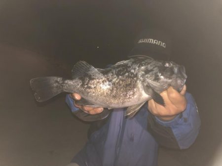 小潮の夜 短時間釣行！