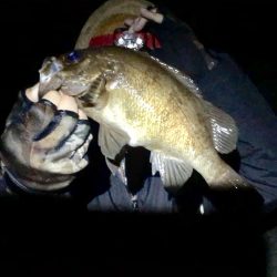 令和１発目の淡路島！