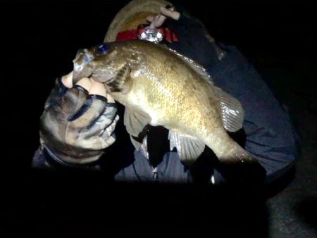 令和１発目の淡路島！