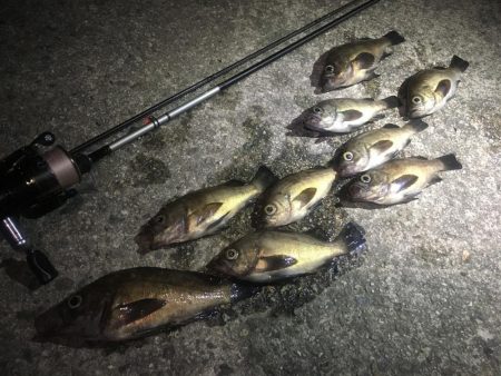 サタデーナイトフィーバーならず。。。