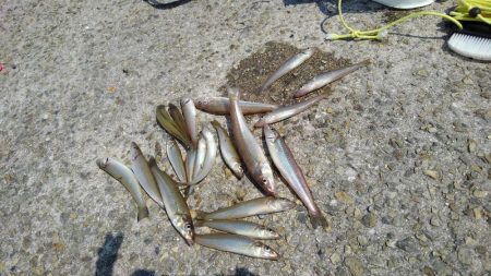 今年のキスはいい感じかも