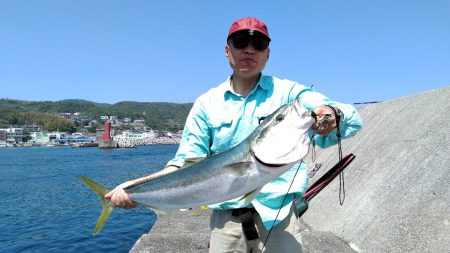 てっきり大ヒラメかとおもいきや