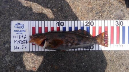 エビ撒き堪能！