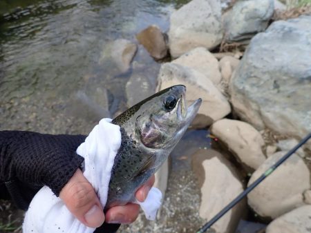 揖保川渓流釣り大会