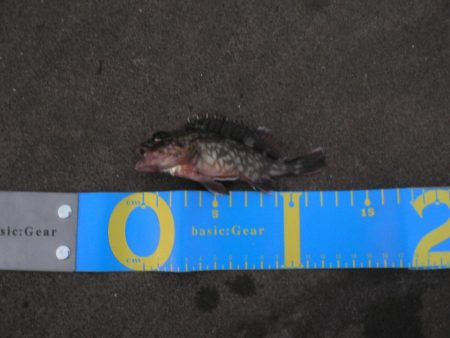 底着底と同時に・・・