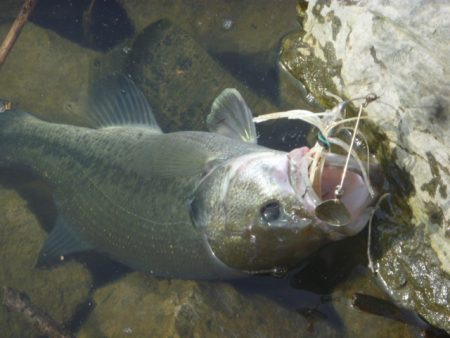 ブレイクの上で