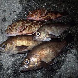 あと1時間あれば・・・