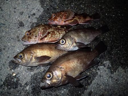 あと1時間あれば・・・