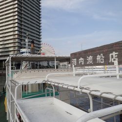 数を狙うか? それとも型か?