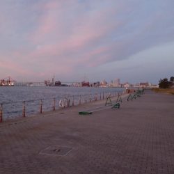 まとまった雨のあとは・・・