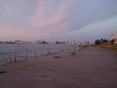 まとまった雨のあとは・・・