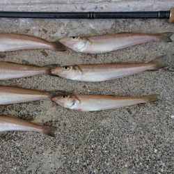 令和、ファースト キス！