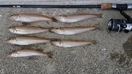 令和、ファースト キス！