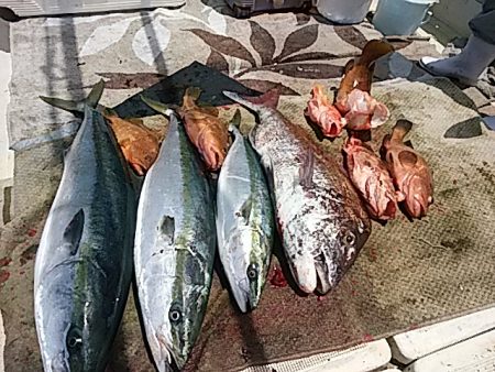 大物釣果速報!●光義丸:平戸市早福港