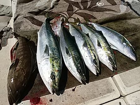 大物釣果速報！●光義丸：平戸市早福港