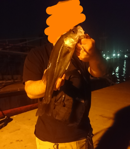 ライトシーバス