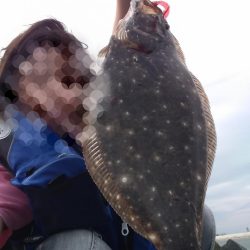 フラットフィッシュ