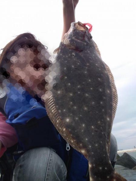 フラットフィッシュ