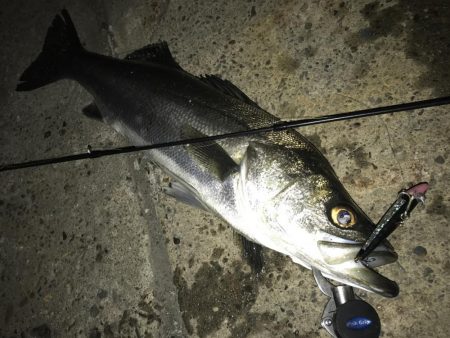 ショートバイト対策で