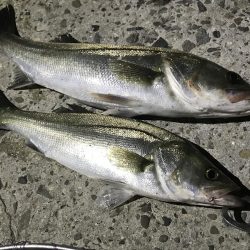 一瞬で始まり、一瞬で終わった