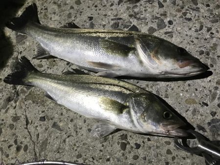 一瞬で始まり、一瞬で終わった