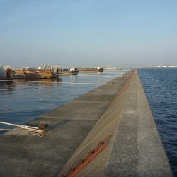 日没後に活性急上昇♪