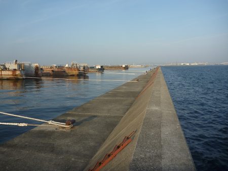 日没後に活性急上昇♪