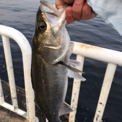 久々の海釣り園