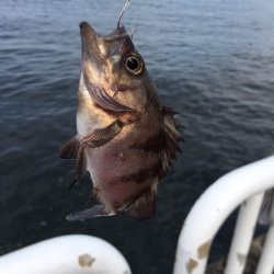 海釣り公園2日目