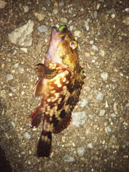 マンネリ ライトゲーム