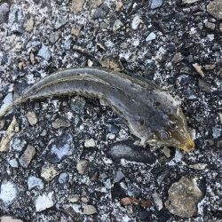 とほほなキス2nd