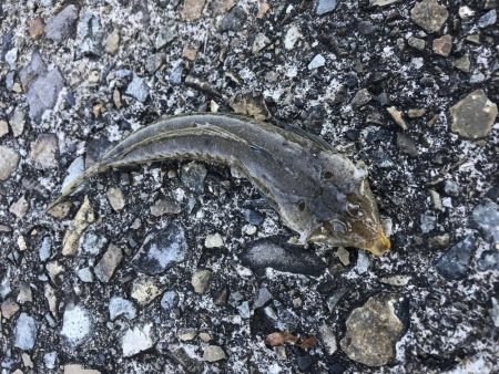 とほほなキス2nd