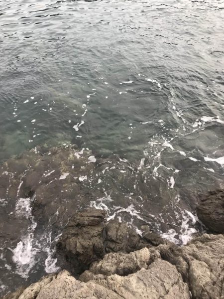 南東爆風の中エギングでなんとかキロアップのアオリイカ