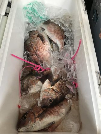 海上釣り堀岬！