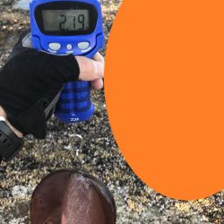 春イカひさびさにエギングで２キロアップ