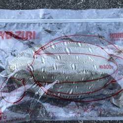 仕事終わりの釣り