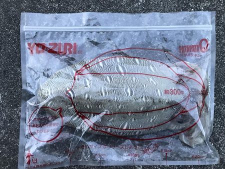 仕事終わりの釣り