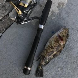 今日もガッシー(^^)