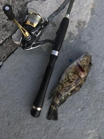 今日もガッシー(^^)